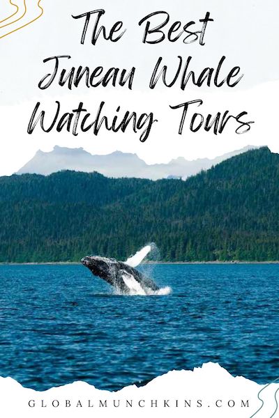 Juneau Whale watching tours